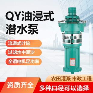 井用潜水河湖灌溉抽水泵立式 QY油浸泵式 大流量高扬程农工用温州泵