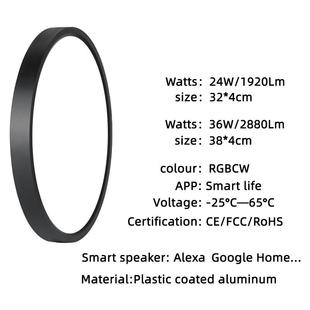 RGBCW七彩 蓝牙 涂鸦WIFIXDD021智顶能吸ea灯Alx Google超薄简约款