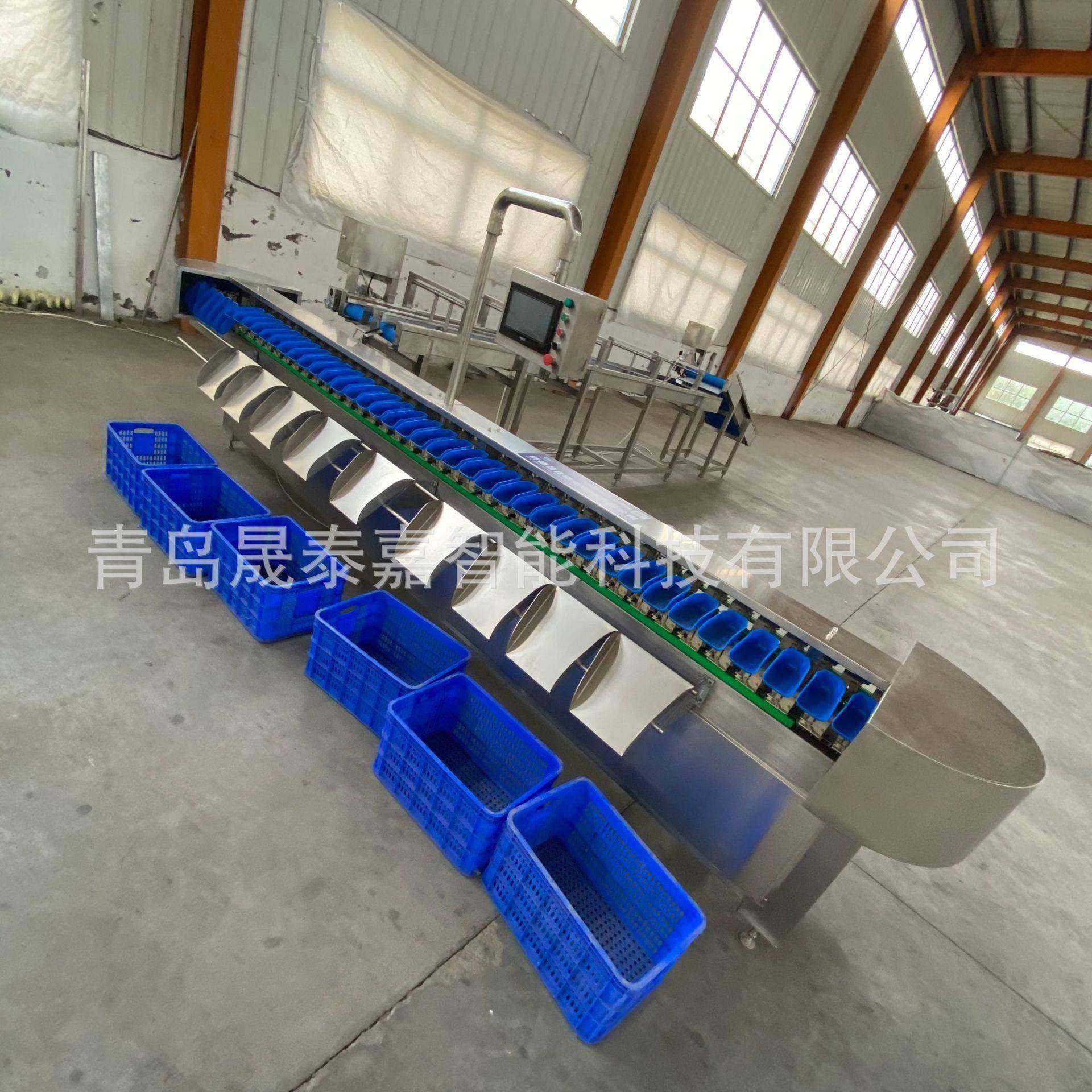 全自动称重分选机海产品高精度料盒式重量分级分选机螃蟹分拣机,清洗/食品/商业设备,其他食品加工设备,淘宝优惠券,粉丝福利购,淘宝优惠卷