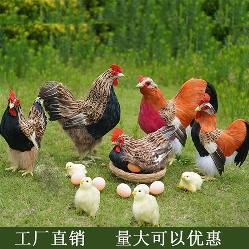 羽毛鸡模型玩具公鸡母鸡孵蛋鸡摆件小鸡仔拍摄道具家居饰品