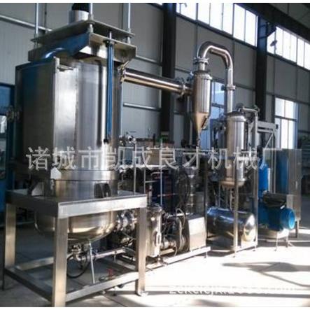 厂家直销商用低温果蔬脆片真空油炸机果蔬脆片加工设备