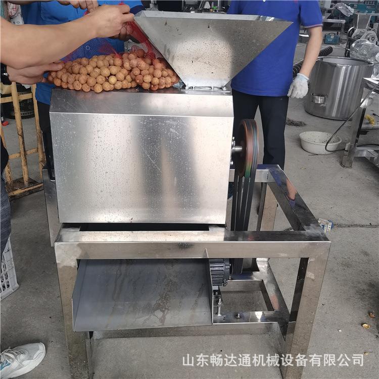 立式杨梅李子去核机橘子工业破碎榨汁机不锈钢去皮去籽打浆机
