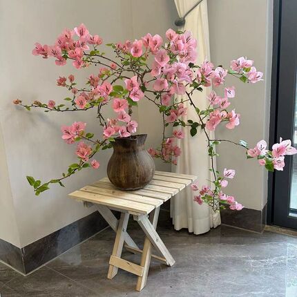 垂丝飘枝三角e梅矮桩盆栽新品阳台庭院花卉可常年开花净化空气易