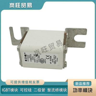全新保险丝熔断器170M2657 2658 2659 2660 2661 2662 266Z3 2664