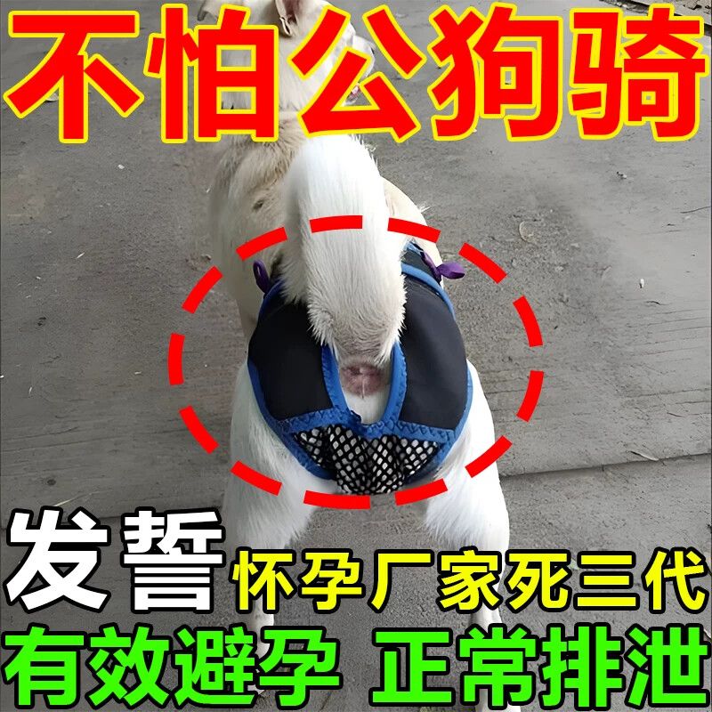 狗狗避孕裤可排泄裤防狗发情骚扰裤防交配裤生理裤母狗防交配神器