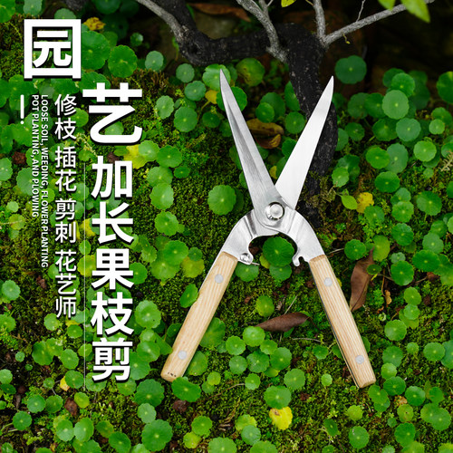 不锈钢回弹剪刀家用园艺剪刀