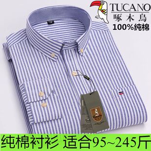 正品啄木鸟男装大码衬衣全棉条纹衬衫男士长袖春秋宽松纯棉衬衣