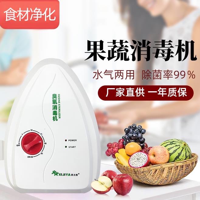 家用臭氧机清洗果蔬食材多功能净化活氧机发生器除甲醛异味消毒机