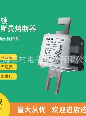 全新原装快速熔断器保险丝170M2764 170M2765 170M2766 170M2767