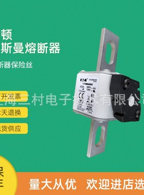 全新原装快速熔断器保险丝170M4693 170M4694 170M4695 170M4696