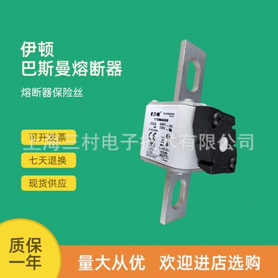 全新原装快速熔断器保险丝170M4693 170M4694 170M4695 170M4696