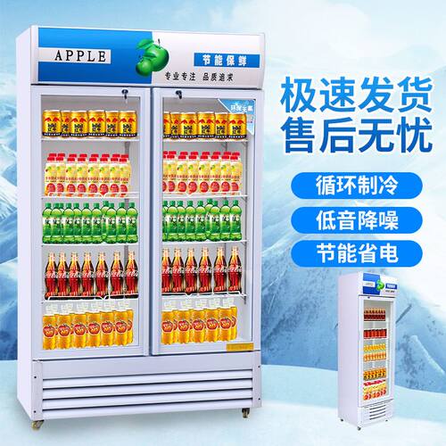 圣凯商用冰箱移动展示柜便利店啤酒柜冰箱保鲜柜立式单门双门