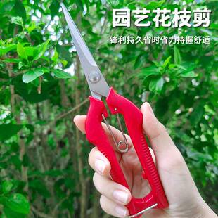不锈钢摘果剪稀果剪修q枝剪采果葡萄剪花椒家用盆景工具剪蔬果剪