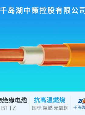 千岛湖中策控股有限公司  BTTZ 矿物质绝缘屏蔽电缆矿物质防火
