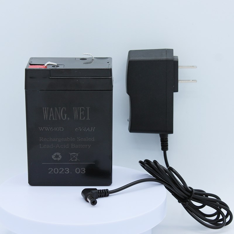 6V4AH电子秤电瓶WW640D电子称蓄电池台秤吊秤磅秤可充电器XWANGWE