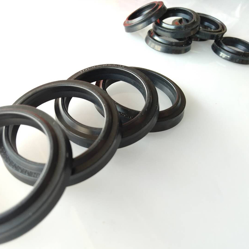 橡胶液压油封LBH11.2/12/12.5/14/16/18*19.2/20/20.5/22/24/26*6