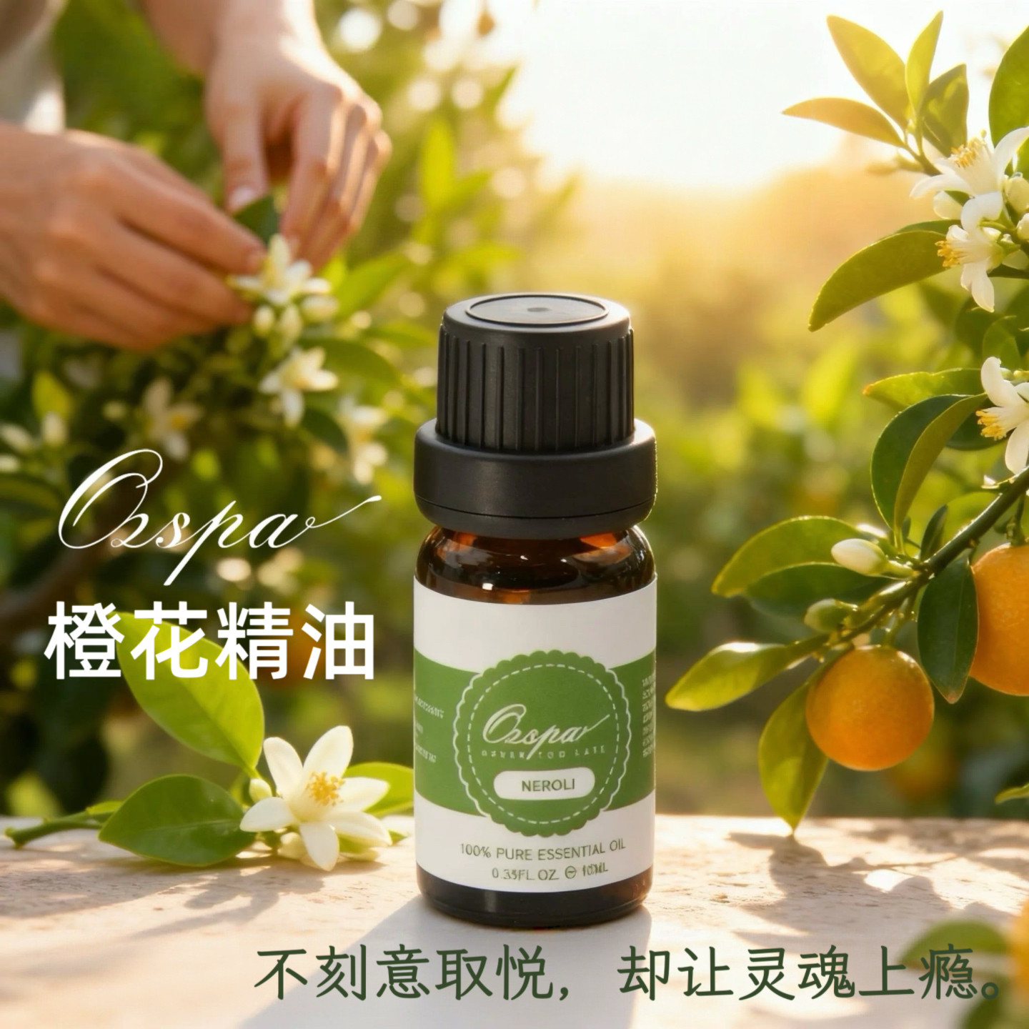 Ozspa橙花精油澳洲品牌植物萃取