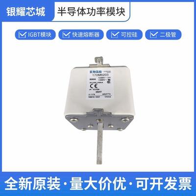 限流式熔断器保险丝巴斯曼原装进口170M6203质量保证