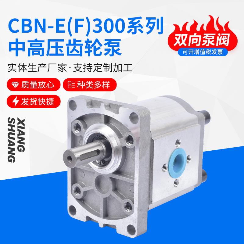 铝合金高压油泵CBT-F316双向齿轮泵CBT-F300系列中高压齿轮泵