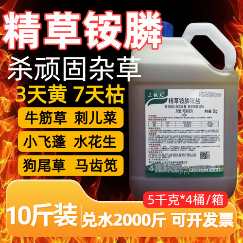 精草铵膦杀顽固杂草三铁叉除根
