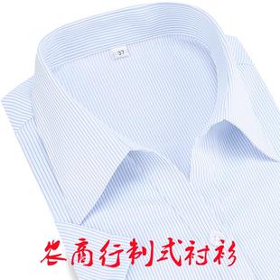 农商行女衬衫白底蓝细条纹长短袖衬衣4S店职装工作服定制LOGO