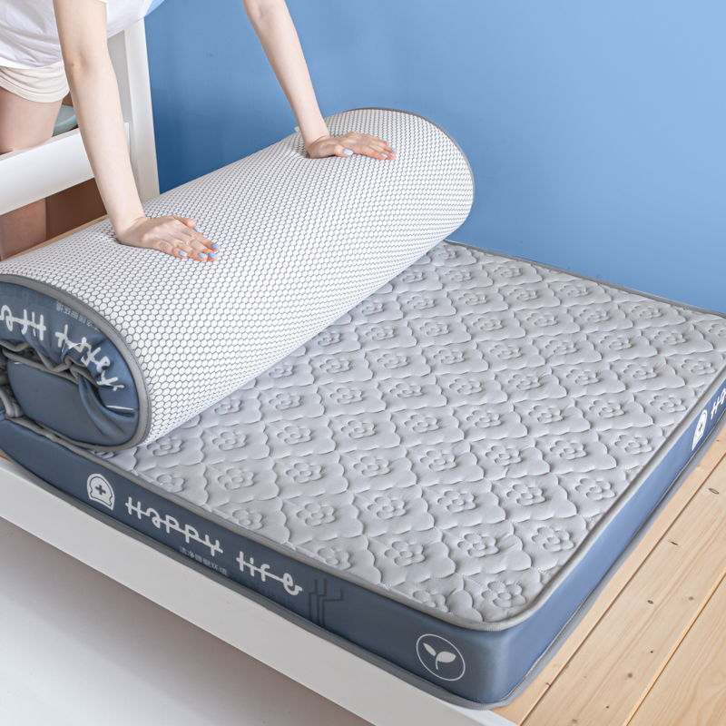 乳胶床垫学生宿舍租房家用卧室榻榻米软垫单双人记忆海棉床褥垫子
