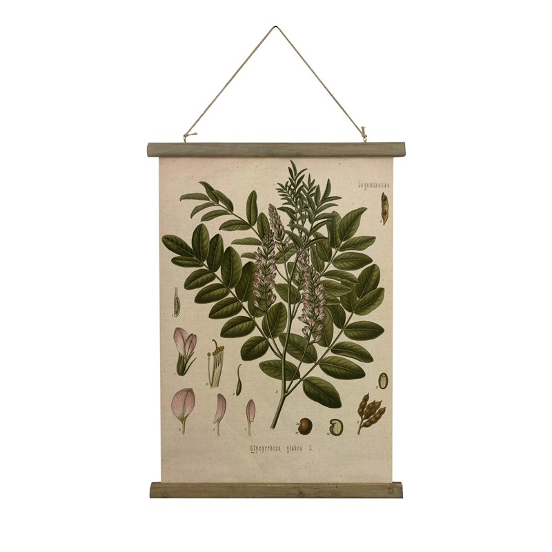 极速复古卷轴挂画k植物花卉装饰画客厅卧室书房布艺做旧墙面装饰图片
