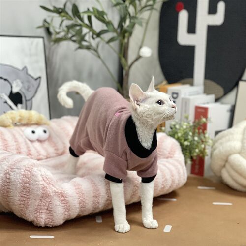 极速无毛猫衣服秋冬四脚护肚v仿羊绒打底高领弹力保暖柔软绒德文