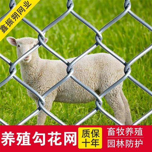 极速新品热浸镀锌铁丝网钢丝网勾花网格养鸡Mg果园护栏网围栏家用