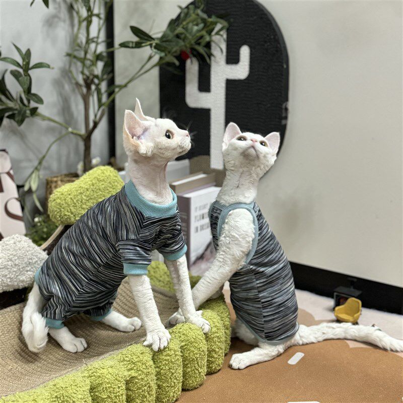 极速无毛猫衣服薄款夏季弹t力四脚护肚吊带背心矮脚德文斯芬克斯图片