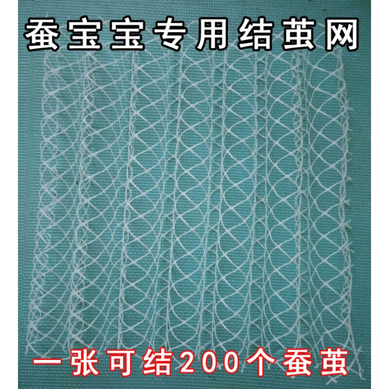 极速蚕宝宝吐丝结茧网养蚕结茧上簇网养蚕工具结200个Z茧大号结茧