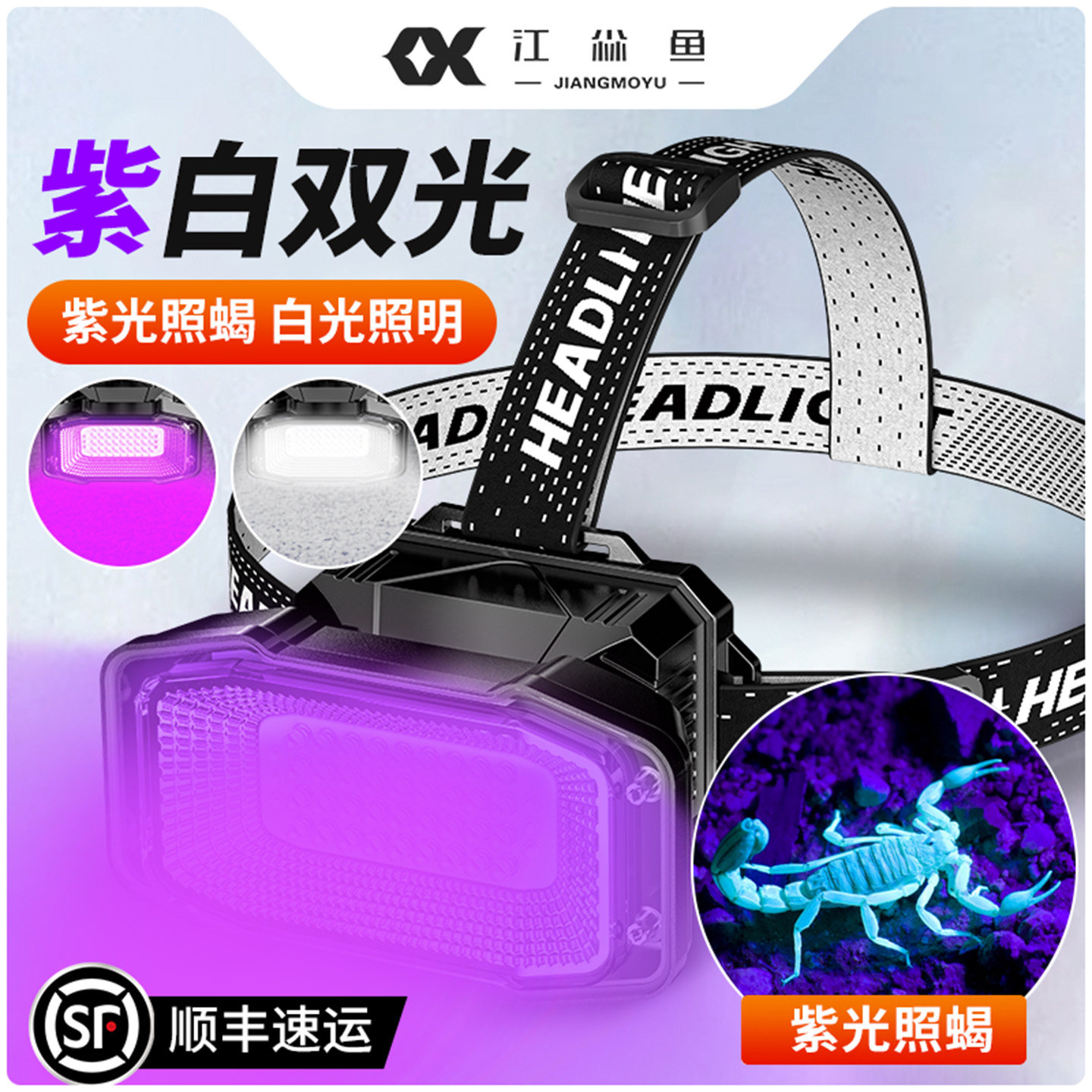 双光源蝎子头戴式灯座灯超亮户外照蝎强光手电筒紫光专用灯超长续