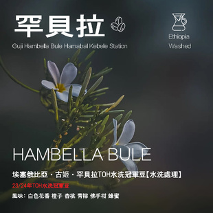 埃塞俄比亚古姬Guji罕贝拉Hambella咖啡豆TOH水洗冠军豆 手冲单品