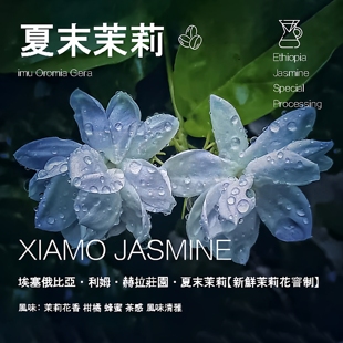 埃塞俄比亚利姆夏末茉莉Jasmine咖啡豆新鲜茉莉花窨制水洗手冲豆
