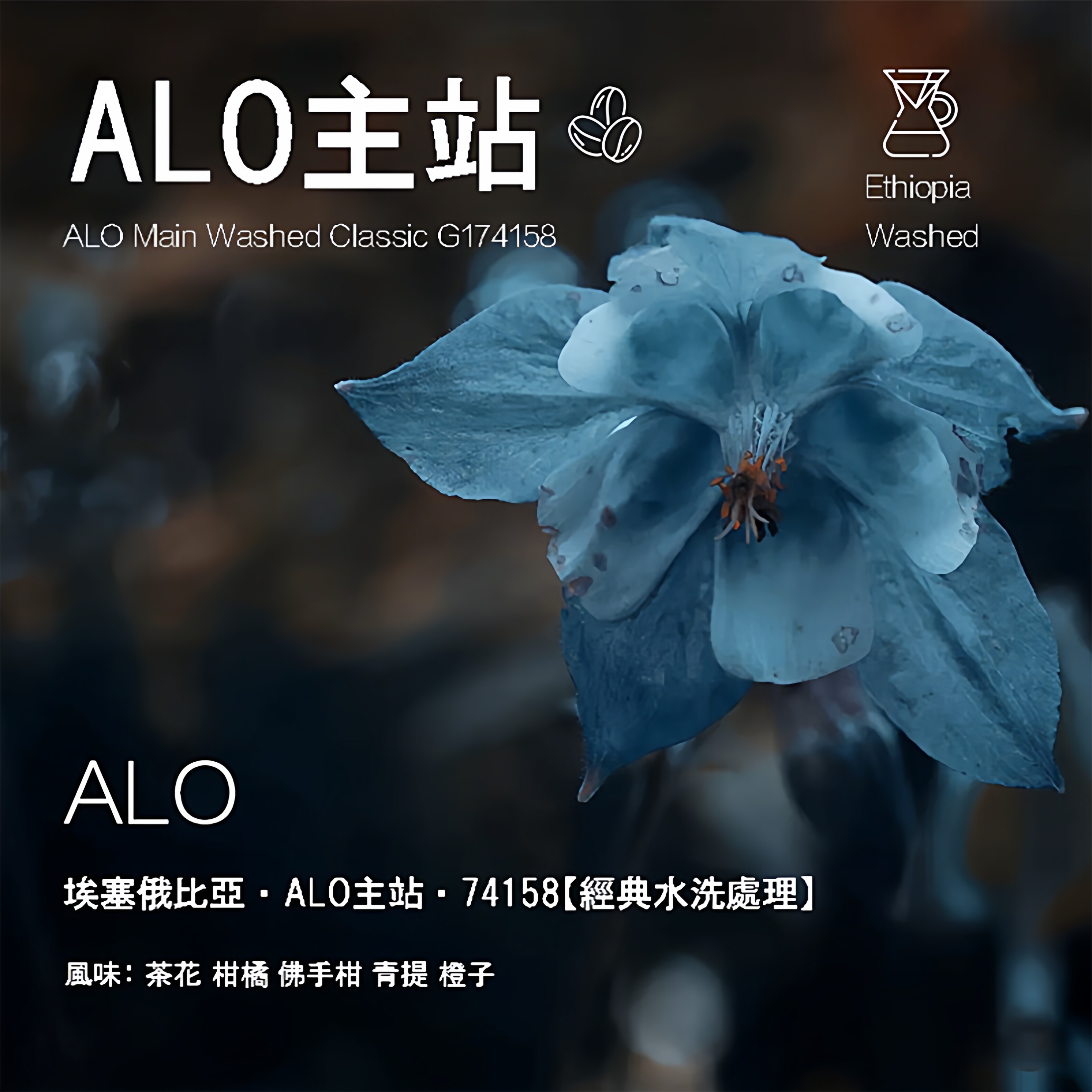 岚幻ALO主站水洗手冲咖啡豆