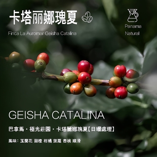 巴拿马极光庄园卡塔丽娜瑰夏Geisha咖啡豆日晒处理手冲单品咖啡豆