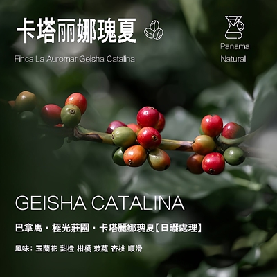 巴拿马极光庄园瑰夏咖啡豆