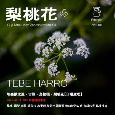 冠军咖啡豆埃塞俄比亚古姬乌拉嘎