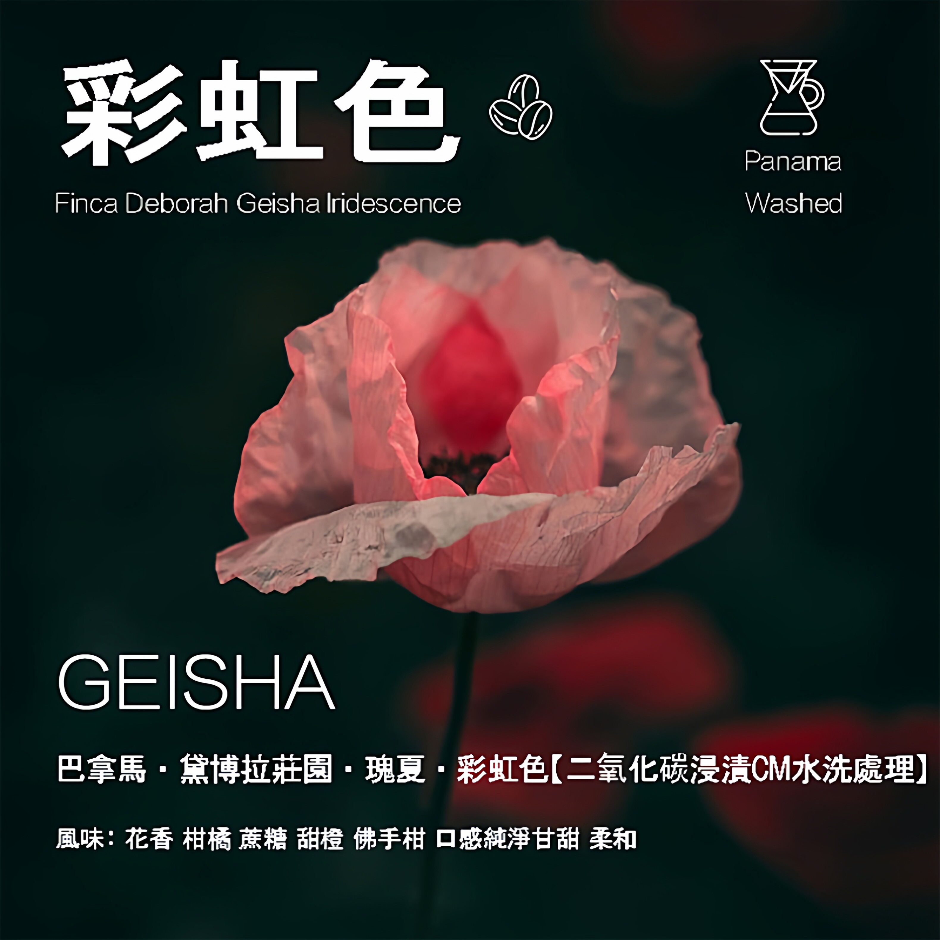 巴拿马黛博拉庄园瑰夏Geisha彩虹色水洗处理咖啡豆手冲单品新产季