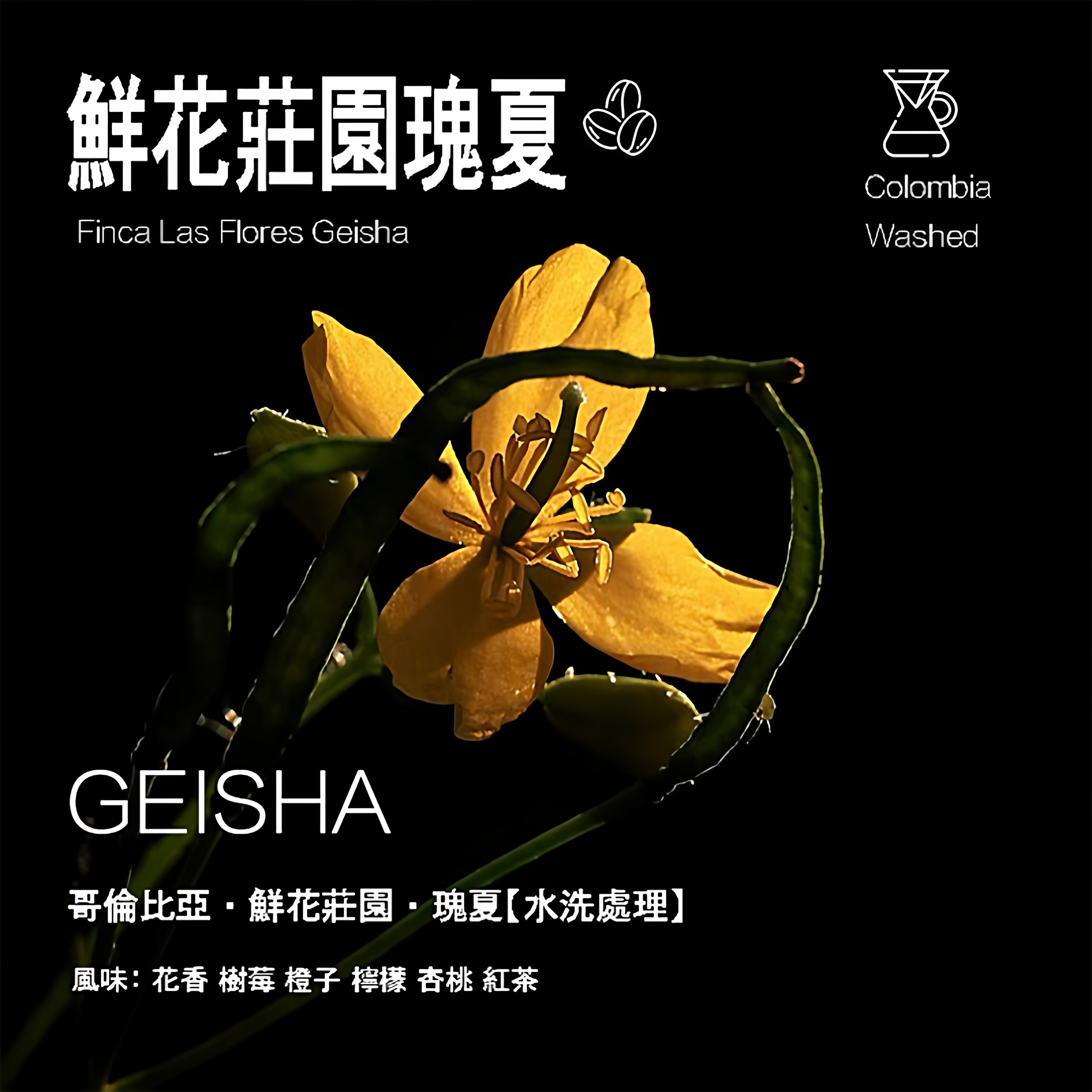 哥伦比亚鲜花庄园瑰夏手冲咖啡豆