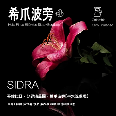 哥伦比亚希爪Sidra波旁咖啡豆