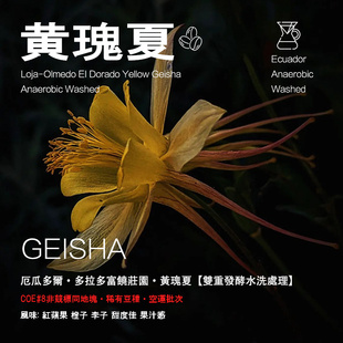 厄瓜多尔多拉多富饶庄园黄瑰夏Geisha双重发酵水洗处理手冲咖啡豆