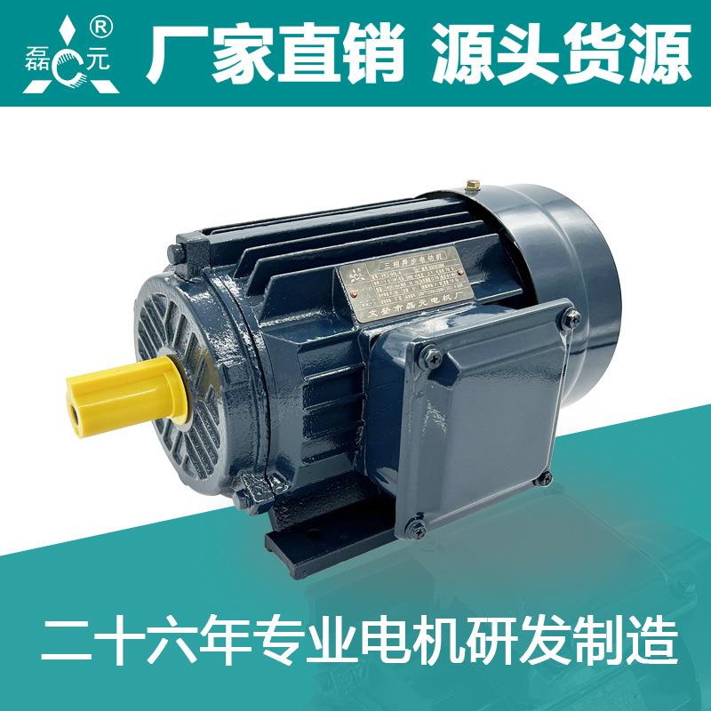 磊元YE3四极0.75/1.1/1.5KW三相电机