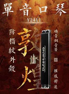 敦煌Y2411 24孔单音口琴D 调 复音 初学 成人专业 了跨境电商 礼