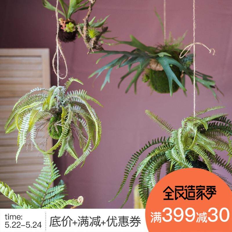 植物涵装饰摆件吊绿植蕨类仿真蕨掬花卉【垂 波士顿壁挂】蕨 吊球