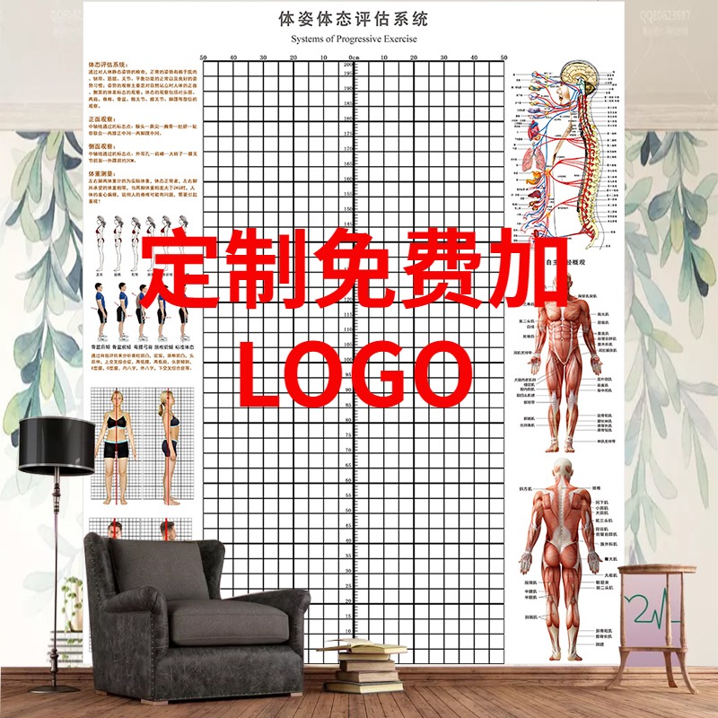 体态评估图站姿评l估体测表健身姿势体态图瑜伽体姿体位测评墙壁