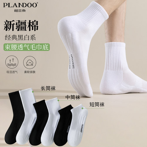 帕兰朵毛巾底袜子男士春夏款四季中长筒袜吸汗减震防臭秋季篮球袜