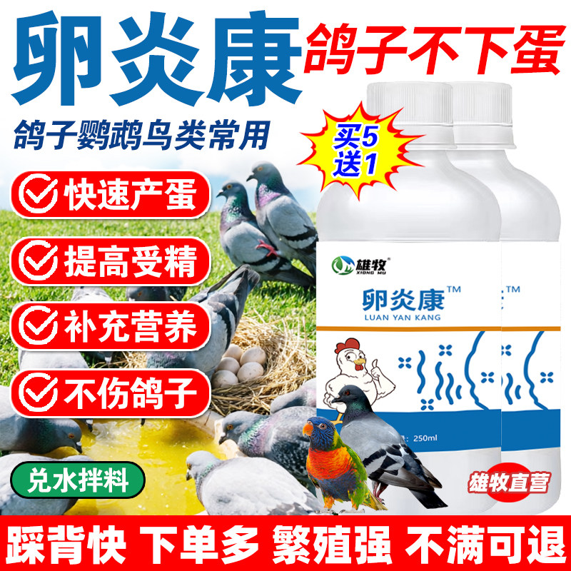 卵炎康鸽子不下蛋增蛋宝鸽子下蛋药产蛋药不受精可孵化催蛋专用