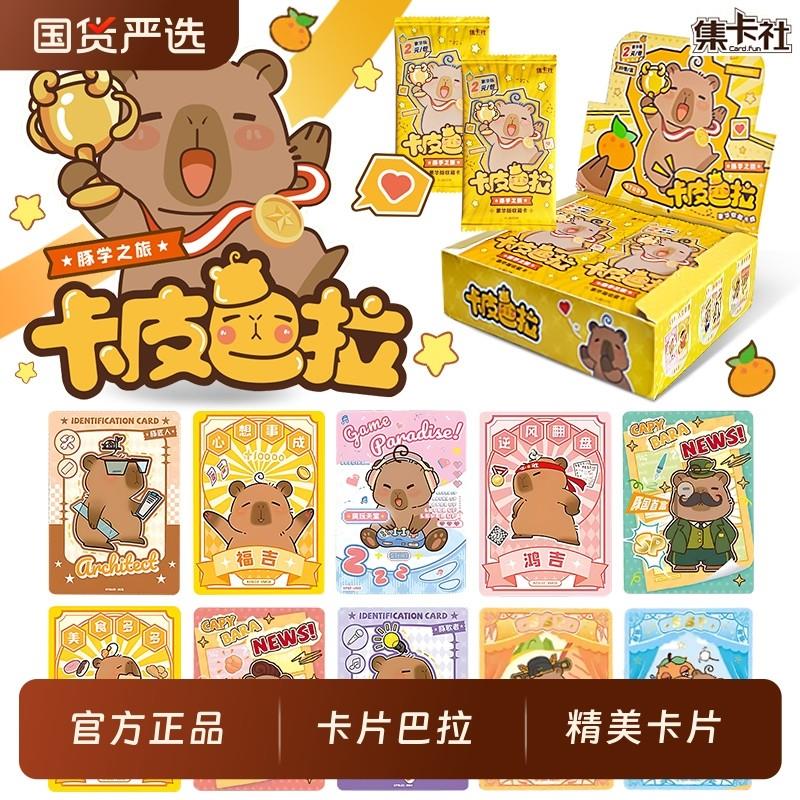 卡皮巴拉收藏卡片整盒豚学之旅小卡牌收藏周边盲盒稀有正版集卡社