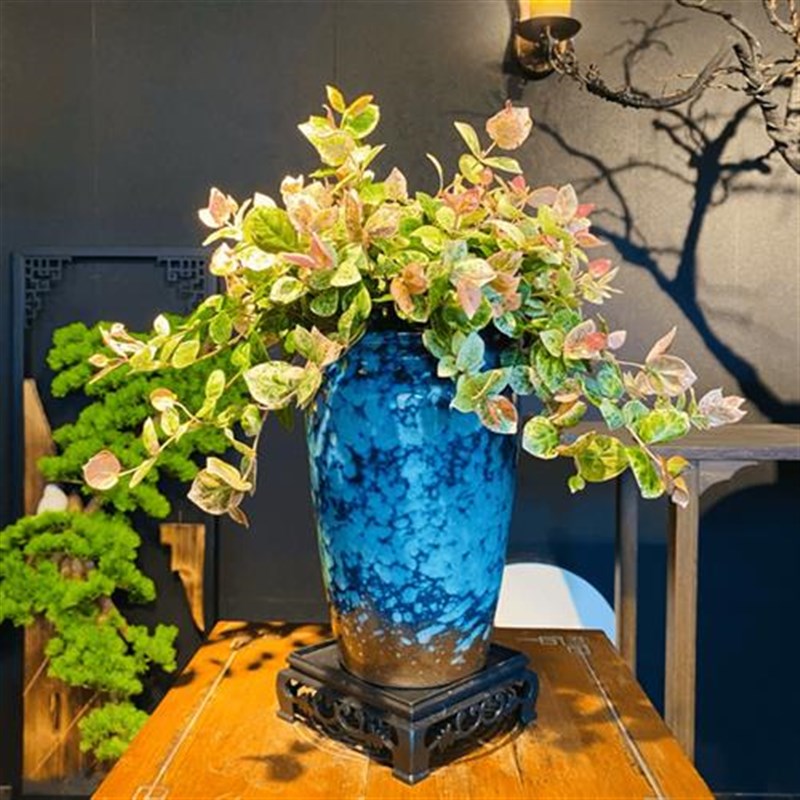 花叶络石盆栽高端美观造型盆景绿植室内客厅茶桌办公室摆件自然